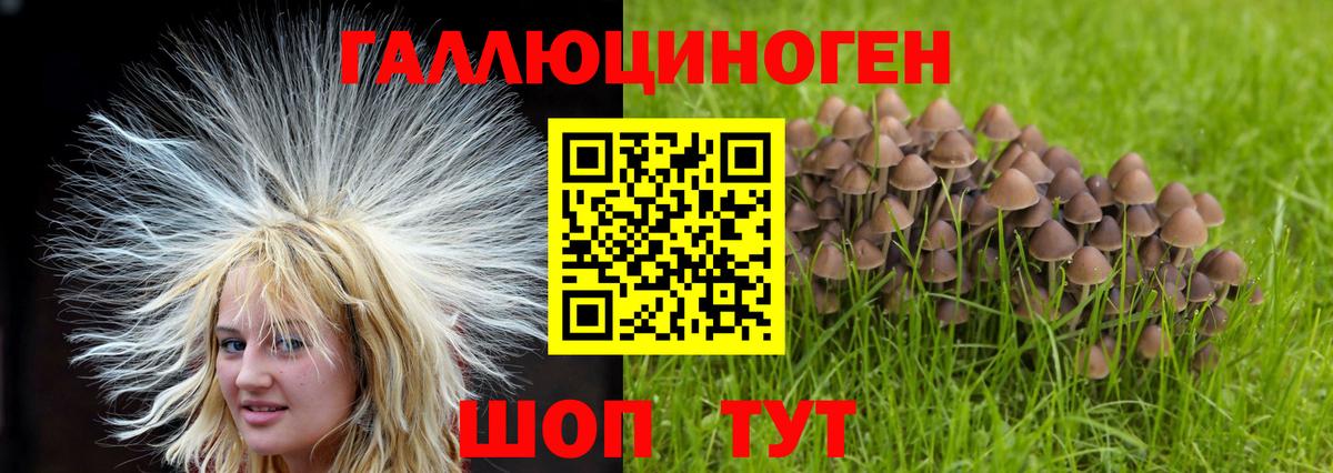 Великий Новгород  Галлюциногенные грибы Psilocybine cubensis  Галлюциногенные грибы MAGIC MUSHROOMS  Вход с VPN 