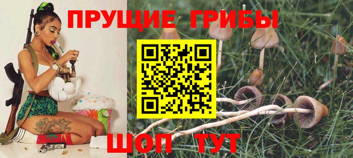 Псилоцибиновые грибы MAGIC MUSHROOMS Великий Новгород
