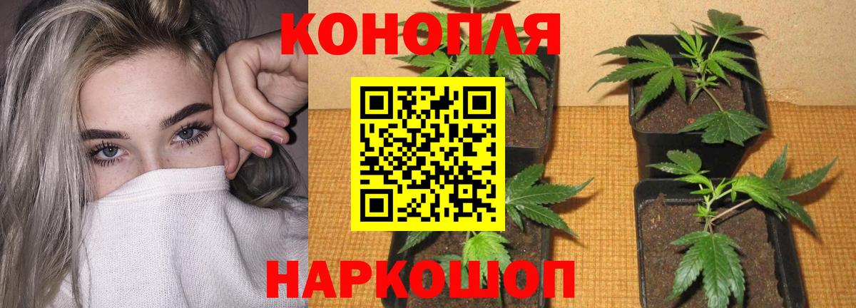 МАРИХУАНА планчик  МАРИХУАНА гибрид  Вход с VPN  Великий Новгород 